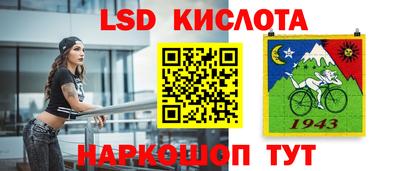Альфа ПВП Донской